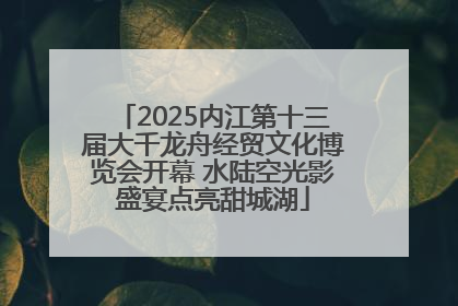 2025内江第十三届大千龙舟经贸文化博览会开幕 水陆空光影盛宴点亮甜城湖