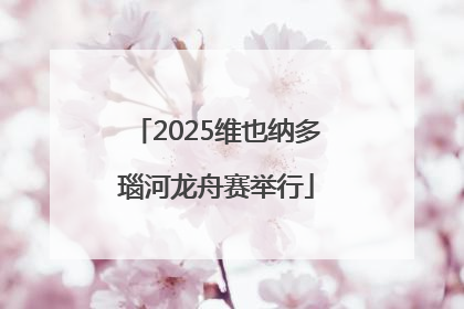 2025维也纳多瑙河龙舟赛举行