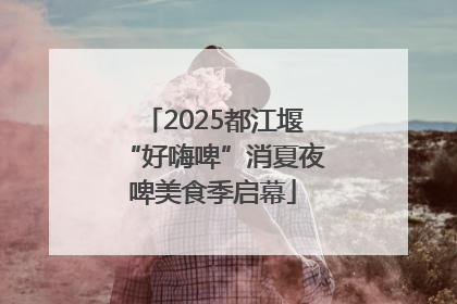 2025都江堰“好嗨啤”消夏夜啤美食季启幕