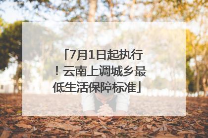 7月1日起执行！云南上调城乡最低生活保障标准