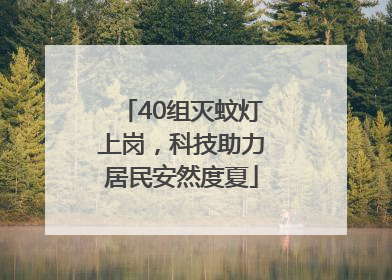 40组灭蚊灯上岗，科技助力居民安然度夏