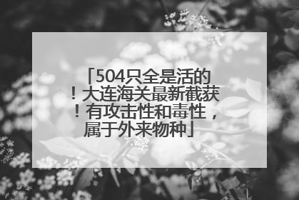 504只全是活的！大连海关最新截获！有攻击性和毒性，属于外来物种