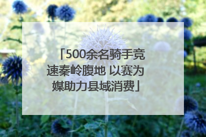 500余名骑手竞速秦岭腹地 以赛为媒助力县域消费