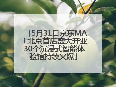 5月31日京东MALL北京首店盛大开业 30个沉浸式智能体验馆持续火爆