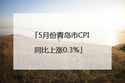 5月份青岛市CPI同比上涨0.3%