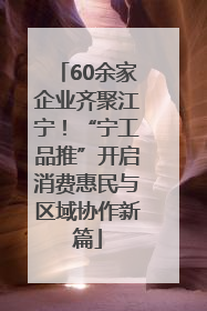 60余家企业齐聚江宁！“宁工品推”开启消费惠民与区域协作新篇