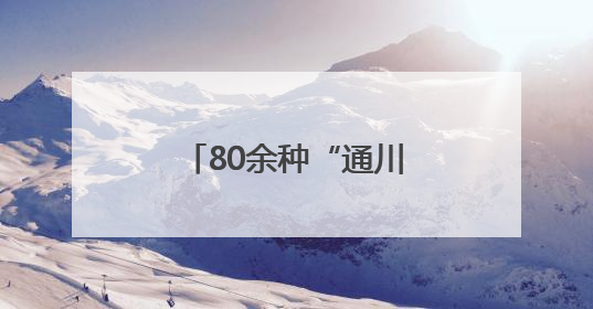80余种“通川造”亮相西博会 广受客商青睐