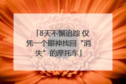 8天不懈追踪 仅凭一个眼神找回“消失”的摩托车