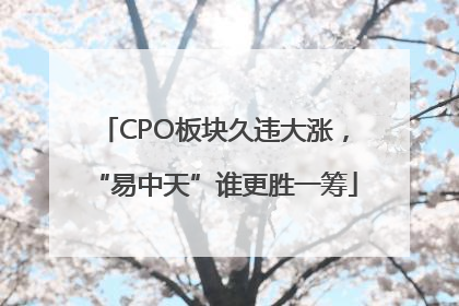 CPO板块久违大涨，“易中天”谁更胜一筹