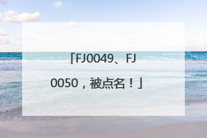 FJ0049、FJ0050，被点名！