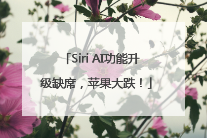 Siri AI功能升级缺席，苹果大跌！