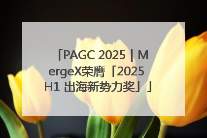 PAGC 2025｜MergeX荣膺「2025 H1 出海新势力奖」